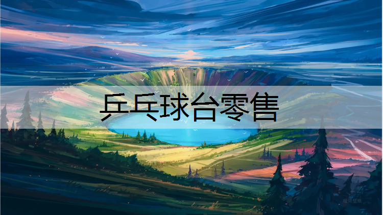 乒乓球台零售