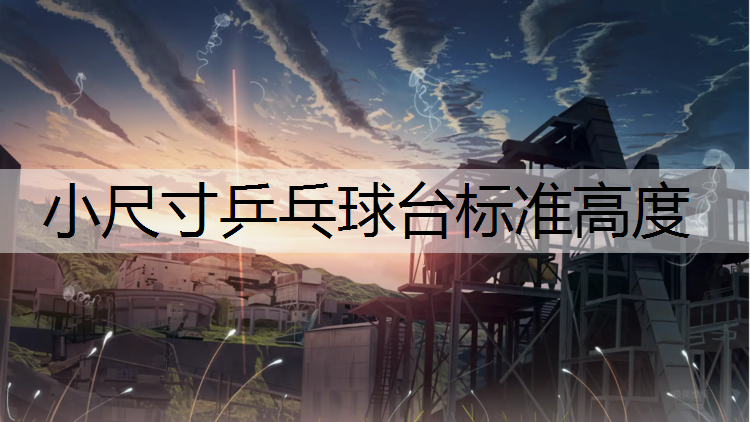 小尺寸乒乓球台标准高度
