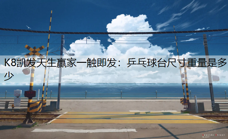 乒乓球台尺寸重量是多少