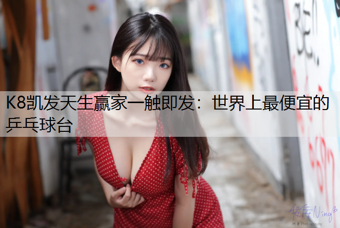 世界上最便宜的乒乓球台