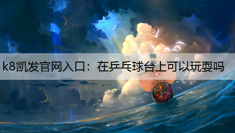在乒乓球台上可以玩耍吗