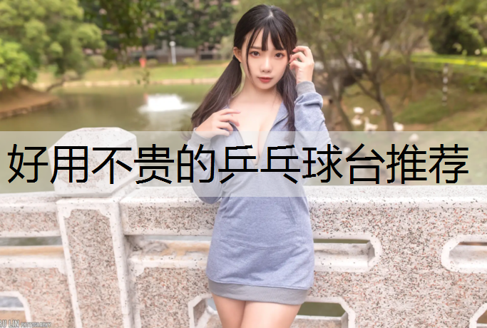 好用不贵的乒乓球台推荐