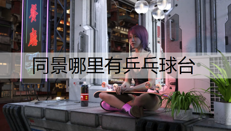 同景哪里有乒乓球台