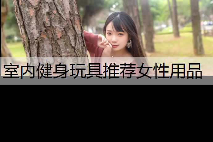 室内健身玩具推荐女性用品