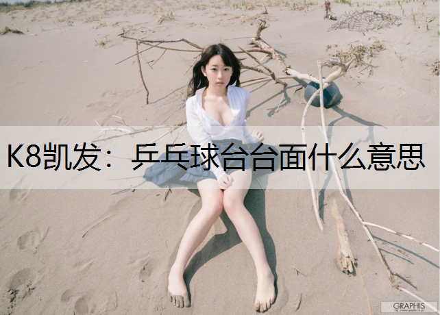 乒乓球台台面什么意思