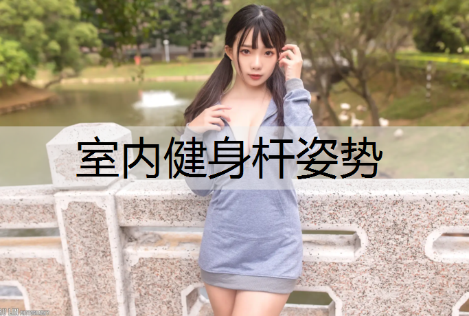 室内健身杆姿势