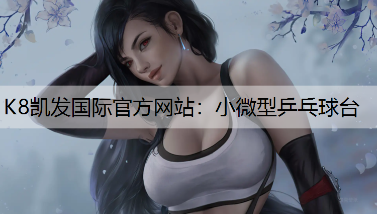小微型乒乓球台