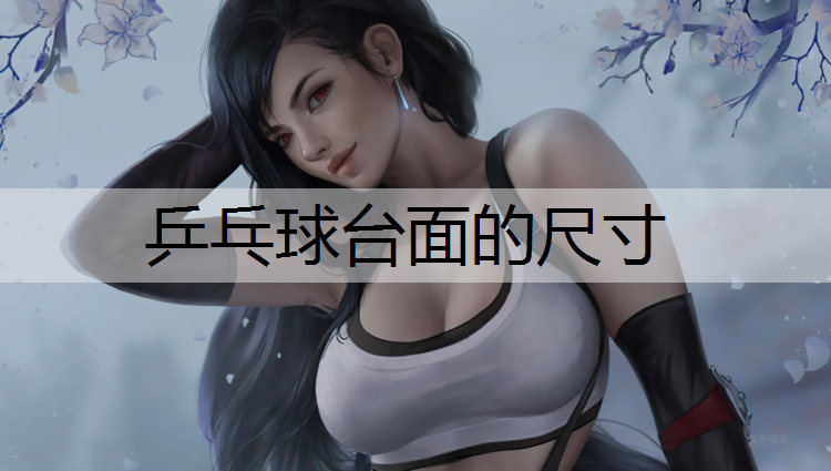 乒乓球台面的尺寸