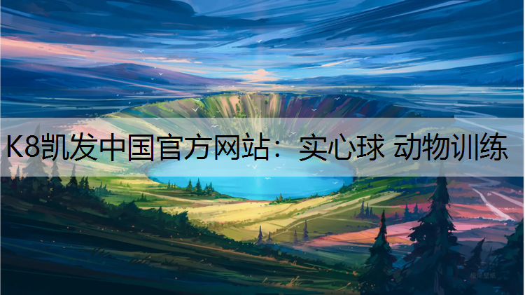 实心球 动物训练