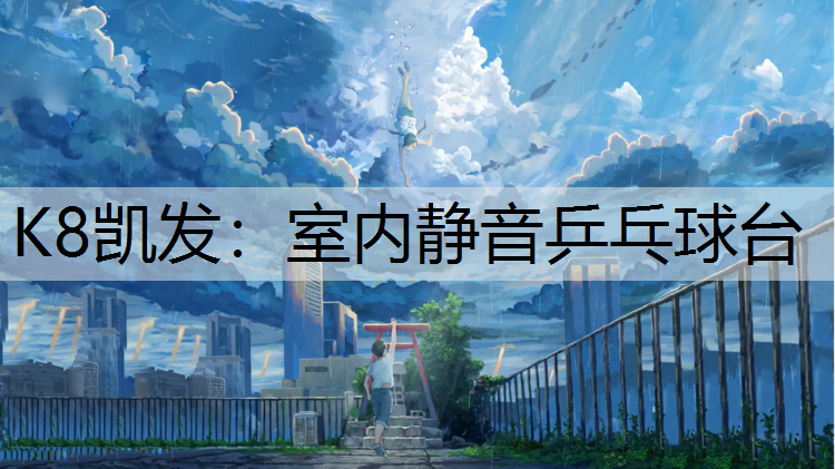 室内静音乒乓球台