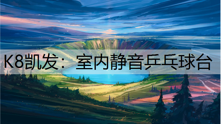 室内静音乒乓球台